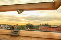 rated Trearddur roof window companies